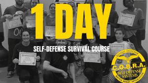 1 Day Self Defense Survival Course