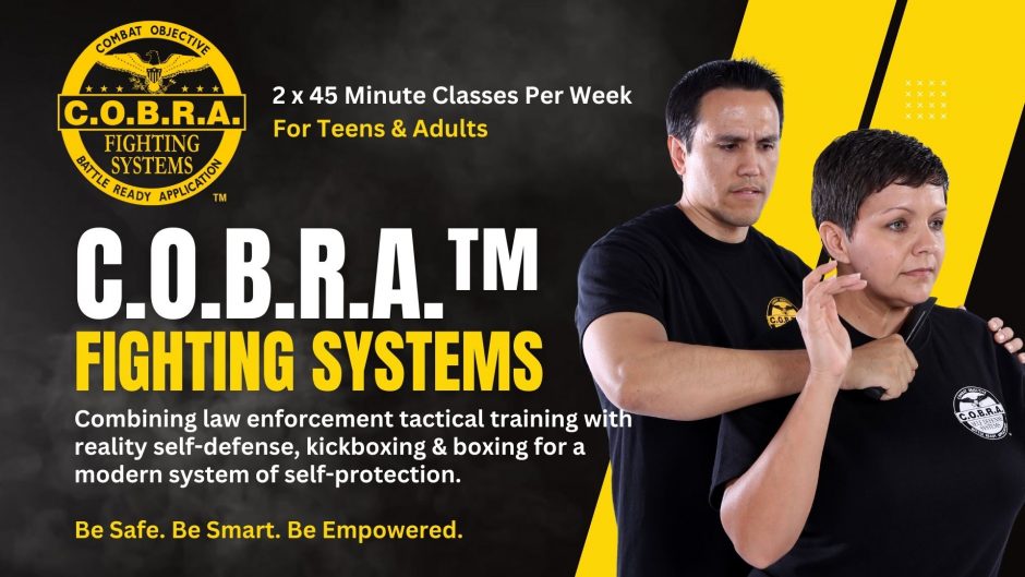 COBRA Fighting Systems Weekly Classes