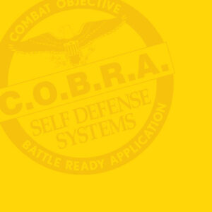 Why Women’s Day Self-Defense Training is Not an Expense, But an Investment